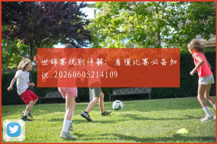 世锦赛规则详解：看懂比赛必备知识_20260605214109
