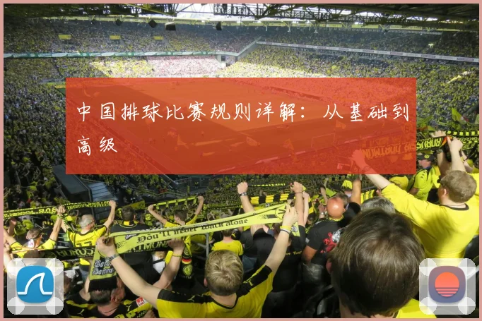 中国排球比赛规则详解：从基础到高级
