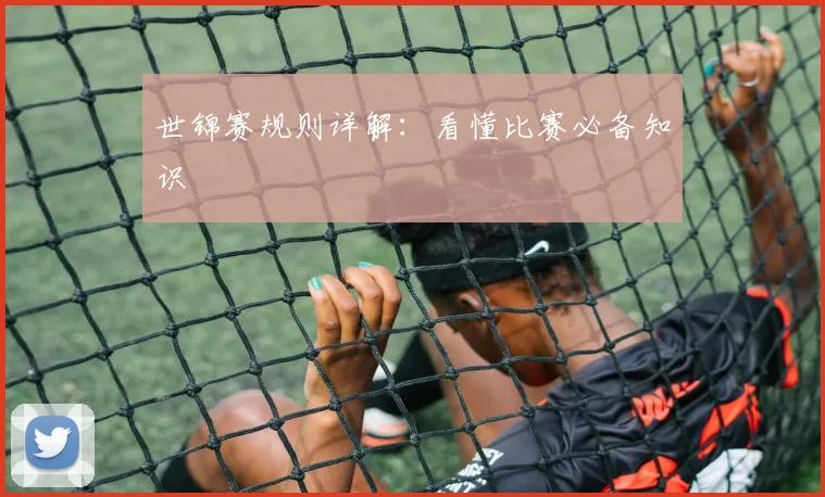 世锦赛规则详解：看懂比赛必备知识