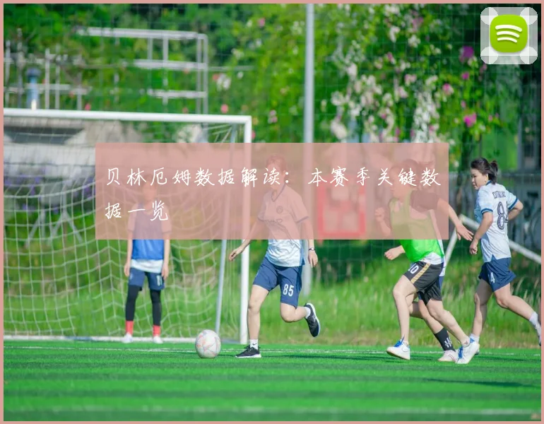 贝林厄姆数据解读：本赛季关键数据一览